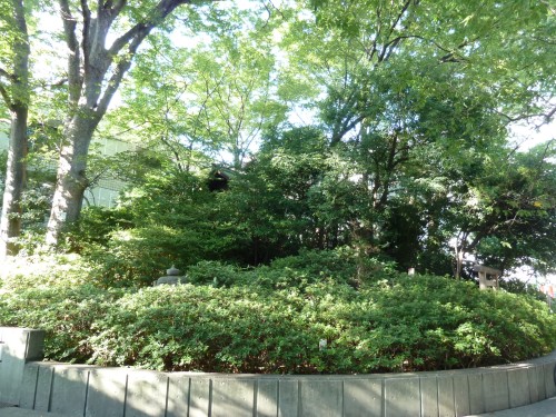 猿楽町（渋谷区）の由来 地名の由来を探訪ブログ